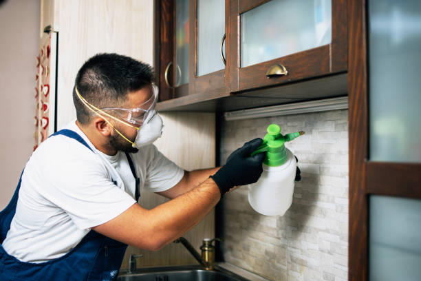 Best Bed Bug Extermination  in Sunray, TX