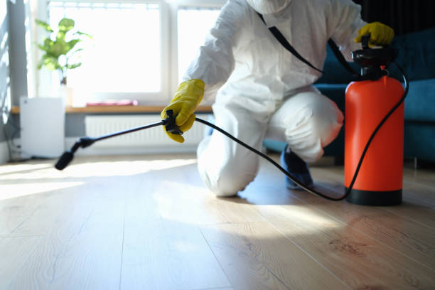 Best Best Pest Control Companies  in Sunray, TX