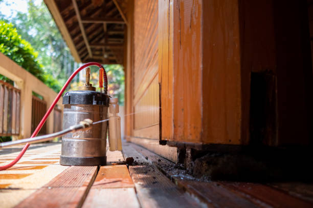 Best Mosquito Control Services  in Sunray, TX