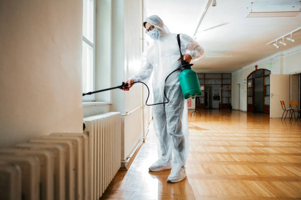 Best Local Pest Control Services  in Sunray, TX