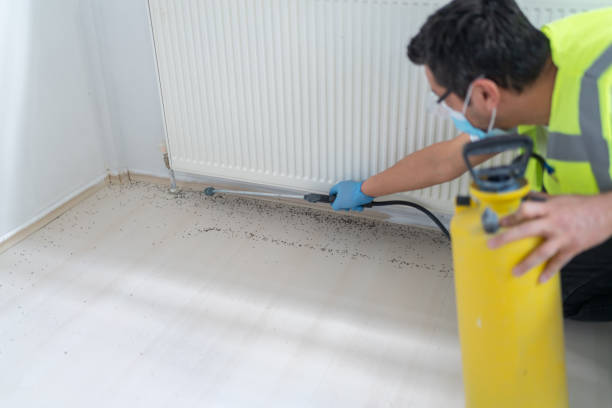 Pest Control Cost in Sunray, TX
