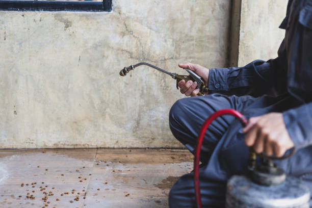 Best Pest Inspection Near Me  in Sunray, TX